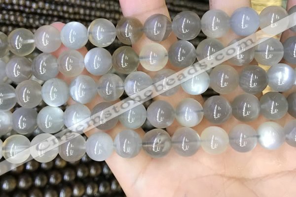 CMS1943 15.5 inches 10mm round grey moonstone beads wholesale