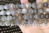 CMS1944 15.5 inches 12mm round grey moonstone beads wholesale