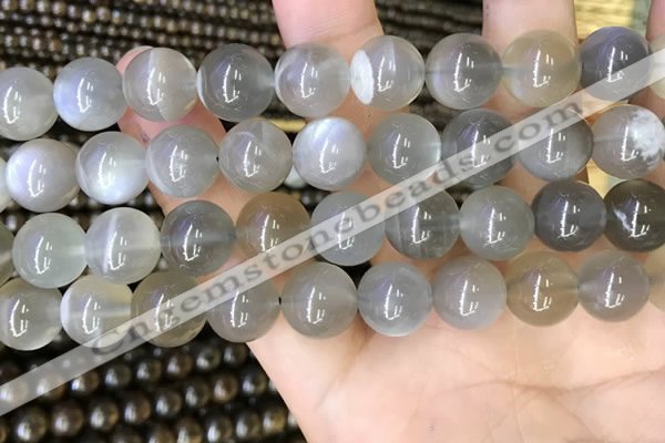 CMS1944 15.5 inches 12mm round grey moonstone beads wholesale