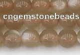 CMS1956 15.5 inches 5mm round natural moonstone gemstone beads