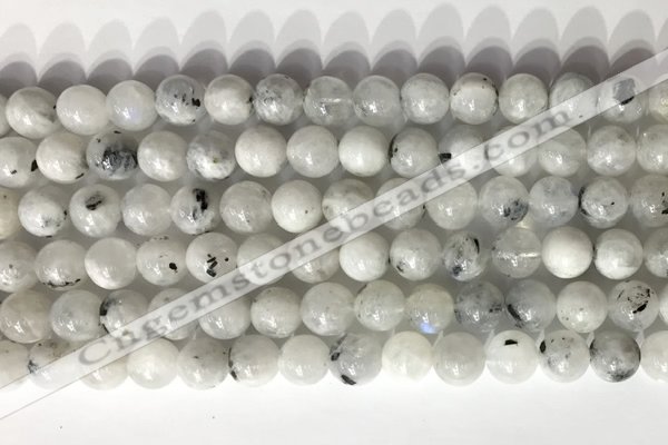 CMS2001 15.5 inches 8mm round white moonstone gemstone beads