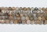 CMS2012 15.5 inches 10mm round moonstone gemstone beads