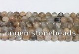 CMS2013 15.5 inches 12mm round moonstone gemstone beads