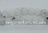 CMS202 15.5 inches 7mm round moonstone gemstone beads wholesale