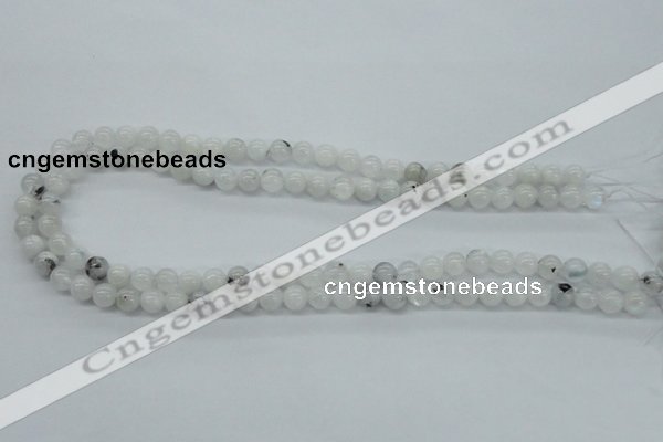 CMS202 15.5 inches 7mm round moonstone gemstone beads wholesale