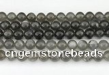 CMS2022 15.5 inches 10mm round black moonstone beads wholesale