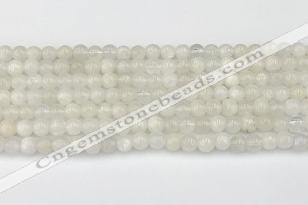 CMS2025 15.5 inches 5mm round white moonstone beads wholesale