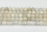 CMS2028 15.5 inches 8mm round white moonstone beads wholesale