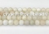 CMS2029 15.5 inches 10mm round white moonstone beads wholesale