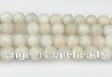 CMS2030 15.5 inches 12mm round white moonstone beads wholesale