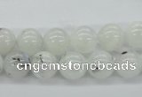 CMS204 15.5 inches 10mm round moonstone gemstone beads wholesale