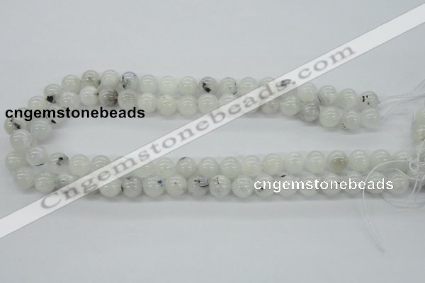 CMS204 15.5 inches 10mm round moonstone gemstone beads wholesale