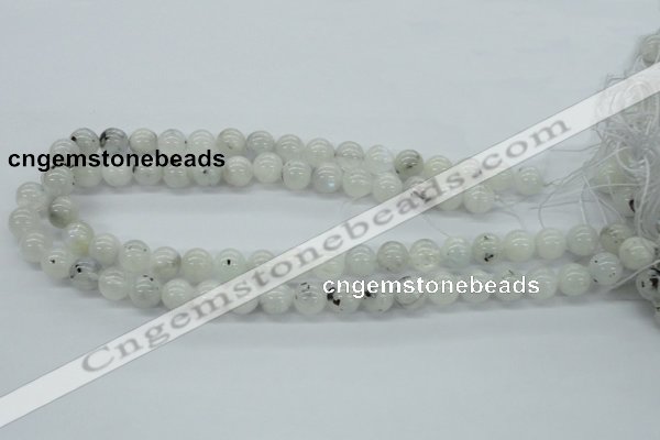 CMS205 15.5 inches 11mm round moonstone gemstone beads wholesale