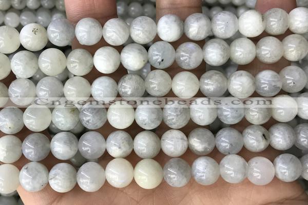 CMS2051 15.5 inches 8mm round moonstone gemstone beads