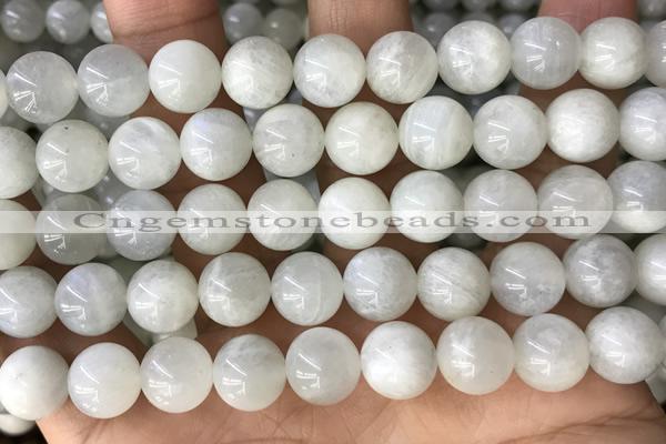 CMS2052 15.5 inches 10mm round moonstone gemstone beads