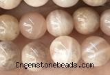 CMS2054 15.5 inches 6mm round moonstone gemstone beads