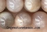 CMS2055 15.5 inches 8mm round moonstone gemstone beads