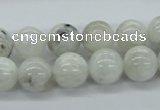 CMS206 15.5 inches 12mm round moonstone gemstone beads wholesale