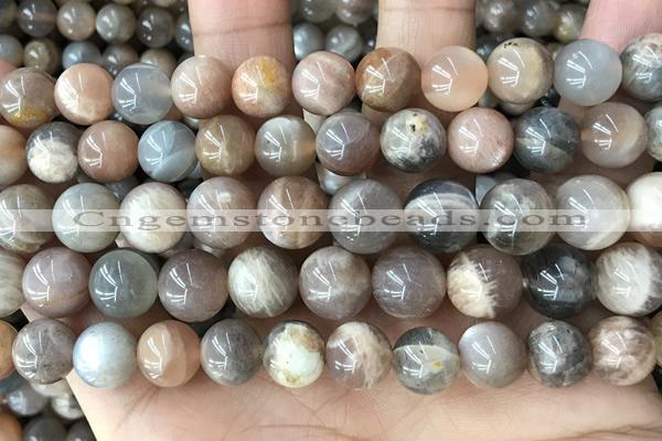 CMS2061 15.5 inches 10mm round moonstone gemstone beads