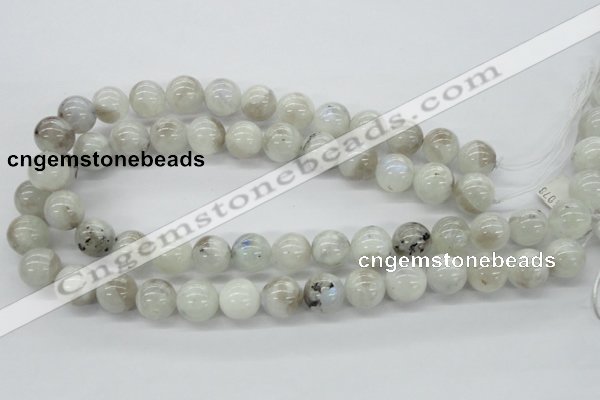 CMS207 15.5 inches 14mm round moonstone gemstone beads wholesale