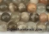 CMS2085 15 inches 5mm round moonstone gemstone beads