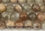 CMS2086 15 inches 6mm round moonstone gemstone beads