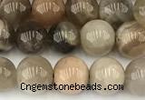 CMS2087 15 inches 8mm round moonstone gemstone beads