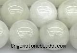 CMS2097 15 inches 10mm round white moonstone beads