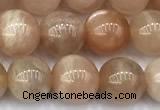 CMS2110 15 inches 7mm round moonstone beads