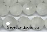 CMS2124 15 inches 8mm faceted rondelle white moonstone beads