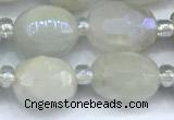 CMS2130 15 inches 8*10mm - 9*12mm faceted nuggets AB-color moonstone beads