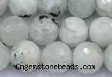 CMS2141 15 inches 8mm faceted round white moonstone beads