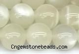 CMS2155 15 inches 10mm round white moonstone beads