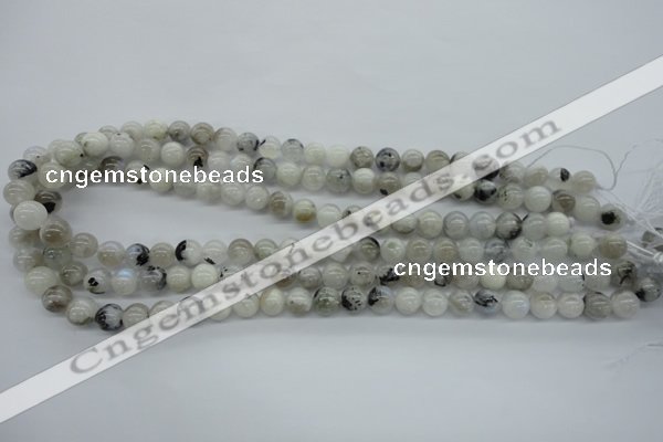 CMS216 15.5 inches 8mm round white moonstone gemstone beads