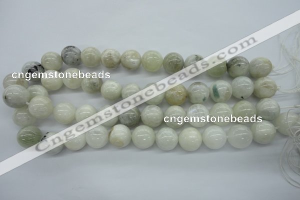 CMS217 15.5 inches 16mm round white moonstone gemstone beads