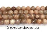 CMS2261 15 inches 12mm faceted round orange moonstone beads