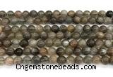 CMS2287 15 inches 6mm round grey moonstone beads wholesale