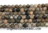 CMS2288 15 inches 8mm round grey moonstone beads wholesale