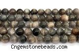 CMS2289 15 inches 10mm round grey moonstone beads wholesale