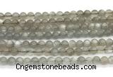 CMS2294 15 inches 6mm round grey moonstone beads wholesale
