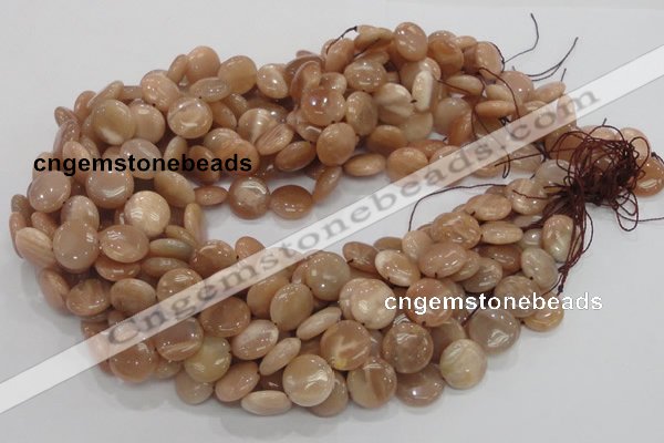 CMS23 15.5 inches 14mm flat round moonstone gemstone beads wholesale