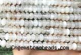 CMS2318 15 inches 4*6mm rondelle white moonstone beads wholesale