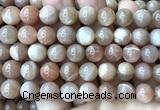 CMS2357 15 inches 10mm round moonstone beads wholesale