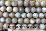 CMS2358 15 inches 12mm round moonstone beads wholesale