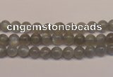 CMS300 15.5 inches 5mm round natural grey moonstone beads wholesale