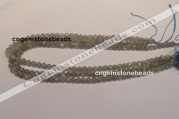 CMS300 15.5 inches 5mm round natural grey moonstone beads wholesale