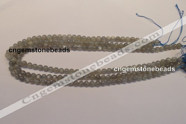 CMS301 15.5 inches 6mm round natural grey moonstone beads wholesale