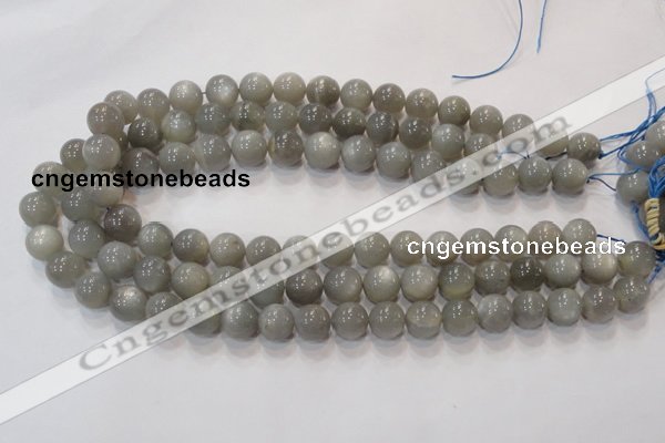 CMS304 15.5 inches 9mm round natural grey moonstone beads wholesale