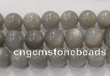 CMS305 15.5 inches 10mm round natural grey moonstone beads wholesale