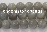 CMS306 15.5 inches 11mm round natural grey moonstone beads wholesale